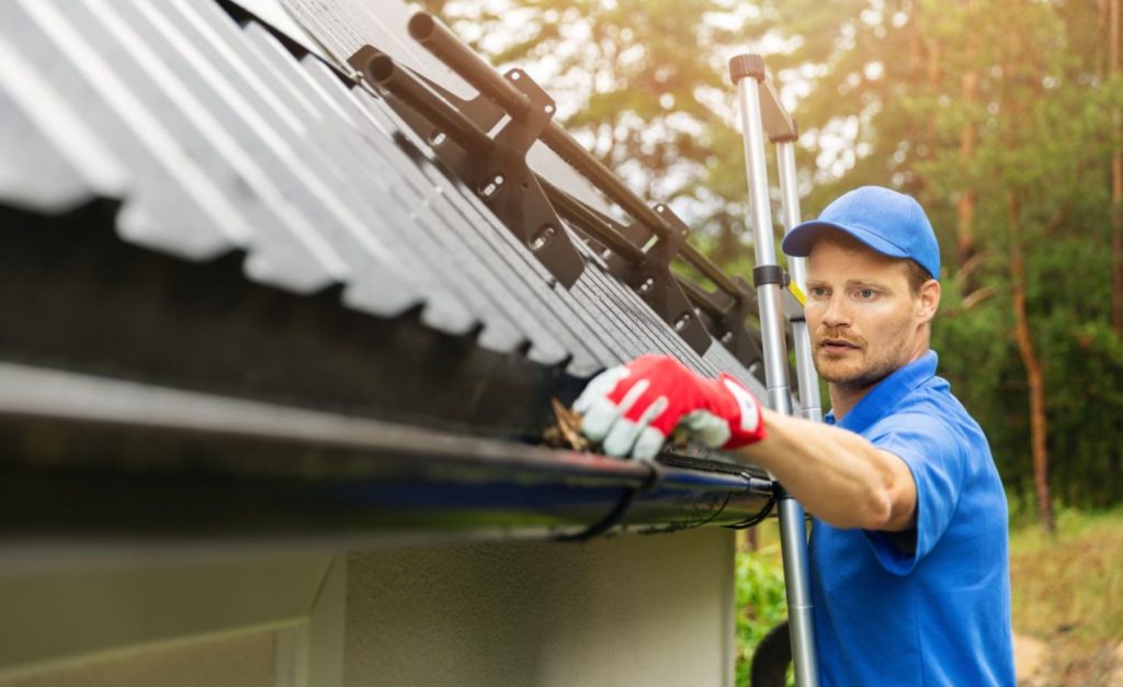 Gutter Cleaning in DuPage County IL, Gutter Cleaning in Joliet IL, Gutter Cleaning in Orland Park IL, Gutter Cleaning in Bolingbrook IL, Gutter Cleaning in Naperville IL, Gutter Cleaning in Aurora IL, Gutter Cleaning in Wheaton IL, Gutter Cleaning in Oak Lawn IL, Gutter Cleaning in Des Plaines IL, Gutter Cleaning in Schaumburg IL, Gutter Cleaning in Elgin IL, Gutter Cleaning in Arlington Heights IL, Gutter Cleaning in Channahon IL, Gutter Cleaning in Manhattan IL, Gutter Cleaning in Matteson IL, Gutter Cleaning in Frankfort IL, Gutter Cleaning in New Lenox IL, Gutter Cleaning in Mokena IL, Gutter Cleaning in Shorewood IL, Gutter Cleaning in Lisbon IL, Gutter Cleaning in Newark IL, Gutter Cleaning in Plattville IL, Gutter Cleaning in Crest Hill IL, Gutter Cleaning in Tinley Park IL, Gutter Cleaning in Lockport IL, Gutter Cleaning in Sandwich IL, Gutter Cleaning in Plano IL, Gutter Cleaning in Yorkville IL, Gutter Cleaning in Oswego IL, Gutter Cleaning in Plainfield IL, Gutter Cleaning in Romeoville IL, Gutter Cleaning in Countryside IL, Gutter Cleaning in Bridgeview IL, Gutter Cleaning in Montgomery IL, Gutter Cleaning in Sugar Grove IL, Gutter Cleaning in Big Rock IL, Gutter Cleaning in Hinckley IL, Gutter Cleaning in Downers Grove IL, Gutter Cleaning in Oak Brook IL, Gutter Cleaning in Kaneville IL, Gutter Cleaning in Batavia IL, Gutter Cleaning in Lombard IL, Gutter Cleaning in Elmhurst IL, Gutter Cleaning in Carol Stream IL, Gutter Cleaning in Geneva IL, Gutter Cleaning in Elburn IL, Gutter Cleaning in St. Charles IL, Gutter Cleaning in Campton Hills IL, Gutter Cleaning in South Elgin IL, Gutter Cleaning in Elk Grove Village IL, Gutter Cleaning in Rosemont IL, Gutter Cleaning in Glenview IL, Gutter Cleaning in Hoffman Estates IL, Gutter Cleaning in Pingree Grove IL, Gutter Cleaning in West Dundee IL, Gutter Cleaning in Carpentersville IL, Gutter Cleaning in Northbrook IL, Gutter Cleaning in Highland Park IL, Gutter Cleaning in Buffalo Grove IL, Gutter Cleaning in Barrington IL, Gutter Cleaning in Algonquin IL, Gutter Cleaning in Huntley IL, Gutter Cleaning in Crystal Lake IL, Gutter Cleaning in Vernon Hills IL, Gutter Cleaning in Lake Forest IL, Gutter Cleaning in Libertyville IL, Gutter Cleaning in Woodstock IL, Gutter Cleaning in McHenry IL, Gutter Cleaning in Volo IL, Gutter Cleaning in Grayslake IL, Gutter Cleaning in North Chicago IL, Gutter Cleaning in Waukegan IL, Gutter Cleaning in Lake Zurich IL, Gutter Cleaning in Streamwood IL, Gutter Cleaning in Wauconda IL,